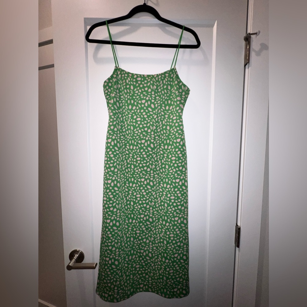 Zara Polka Dot Dress